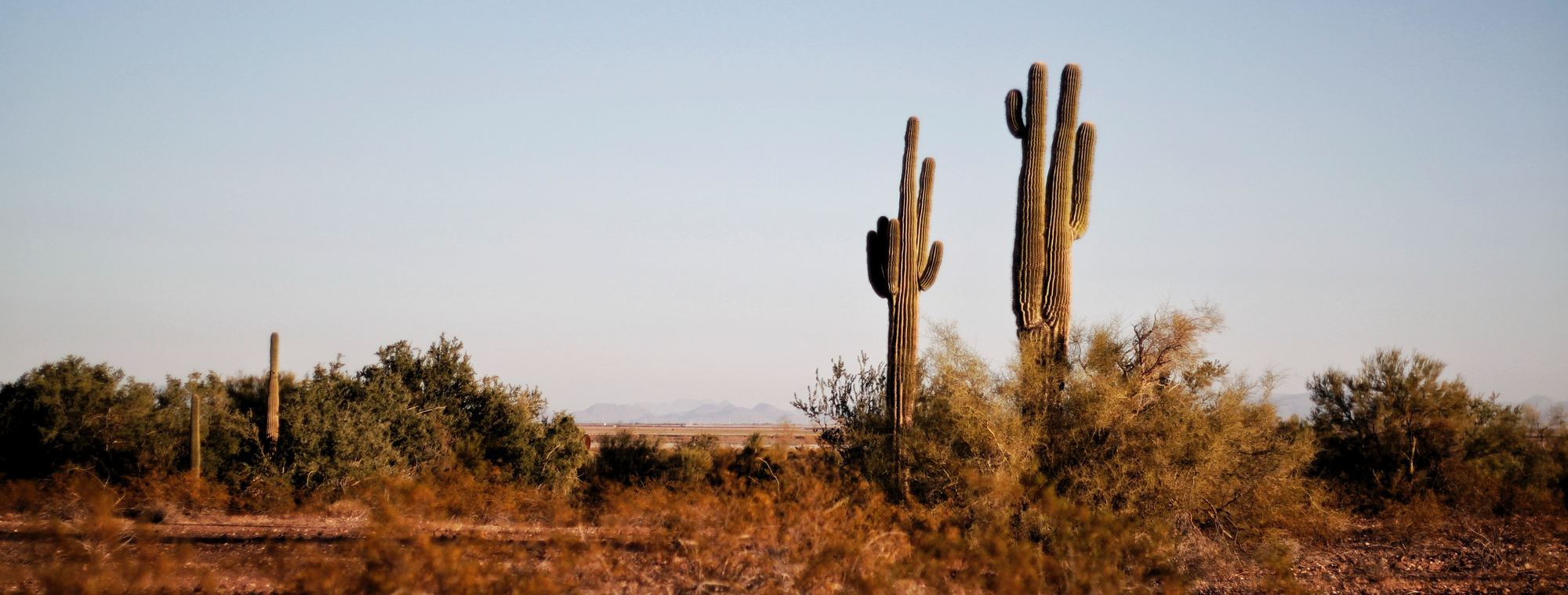 Arizona desert